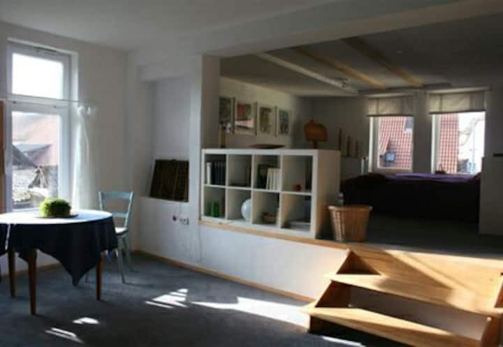 Großes ,Sonniges Zimmer In Renoviertem Bauernhaus. - Reutlingen
