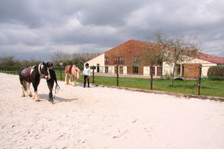 Club House 120 Pers  Et Gite Equestre  44 Lits - Lisieux