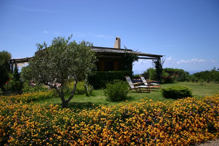 Villa Cala Sidoti - Ústica
