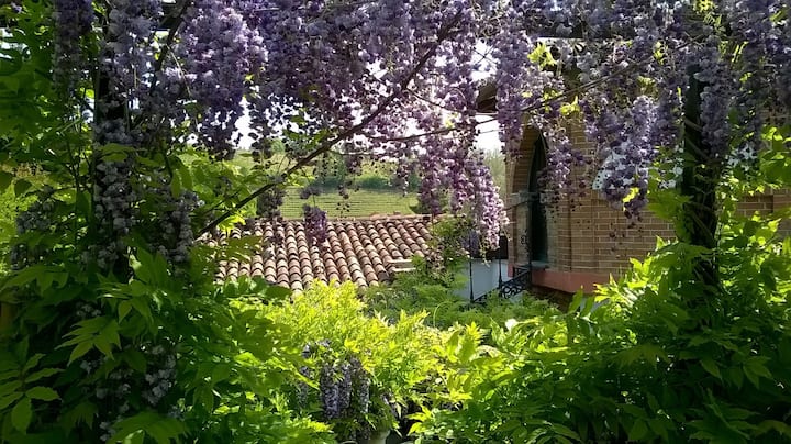 Casa Sonny: Cottage In Magical Garden 3km Old Town - Asti