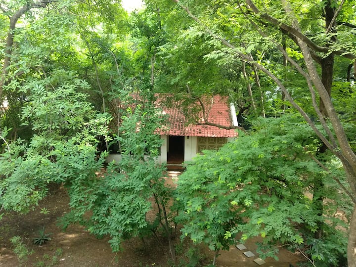 Truth Cottage, Bose Compound - Tiruvannamalai