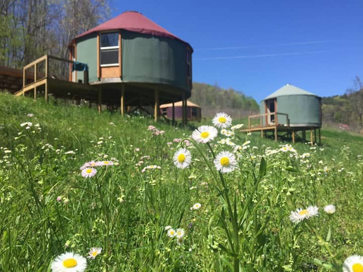 Eco-chic Mountain Yurt Retreat Center - Maryville, TN
