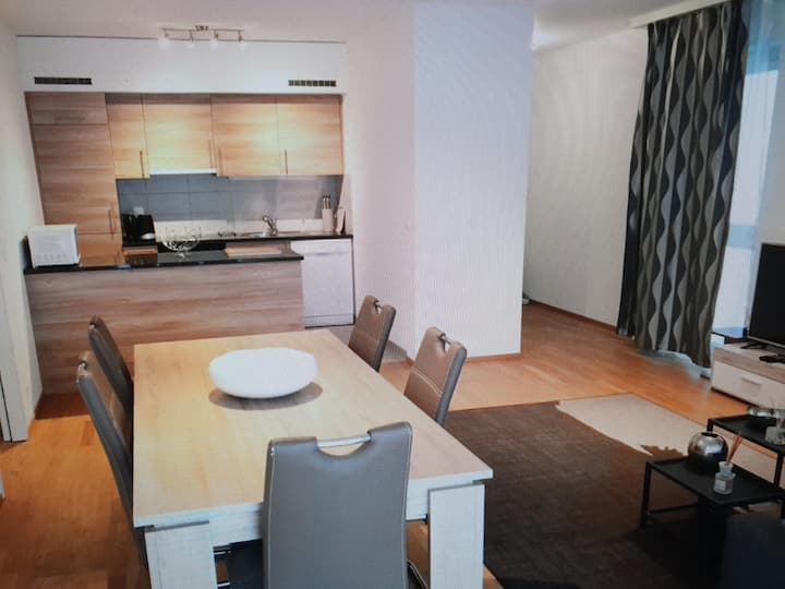 Modern Apartment-3 Bedrooms-secured Parking - Geneva