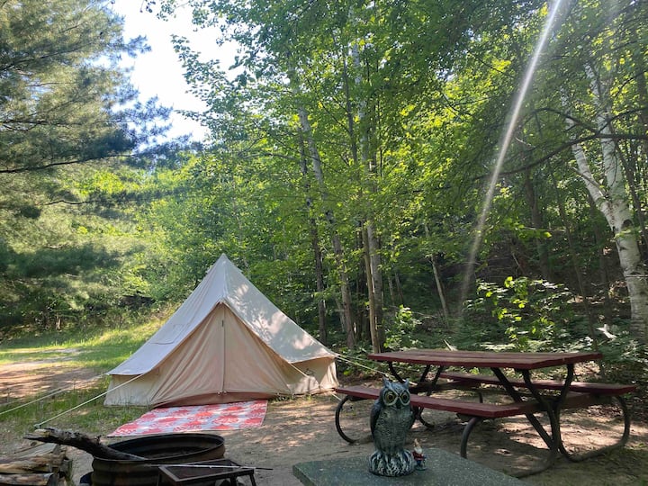 The Beeline Tent - Torch Lake, MI