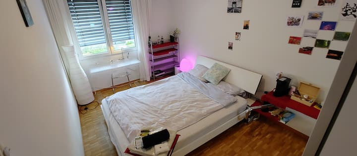 One Bedroom , Furnished With Designer Furniture - Zurich
