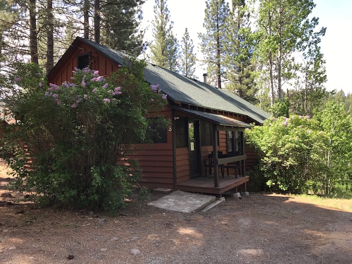 Amazing River Views! ~ Cabin On 40 Acres Along Scenic Feather River - Graeagle, CA