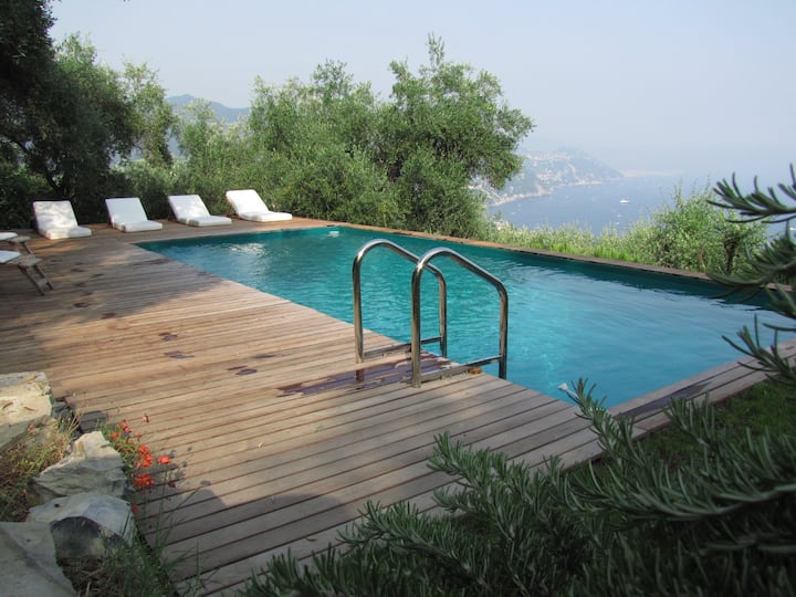 Charming Apartment Villa With Pool 010-46-citra821 - Santa Margherita Ligure