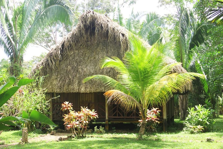 Villa Parrot Bed-& Breakfast In The Jungle - Belize