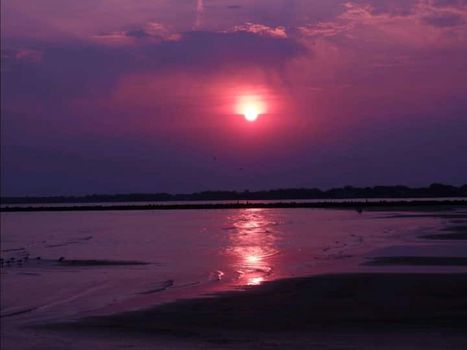 African Safari Wildlife Park, Port Clinton airbnb, hotels and vacation