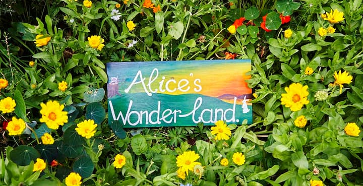 Alice's Wonderland Vegan Bnb - Isle of Arran