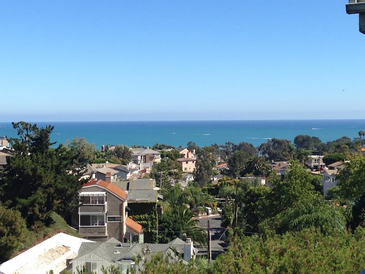 Panoramic Ocean View- Free Parking Pet Friendly - デイナポイント, CA