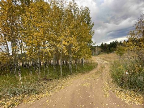 Nederland, CO Holiday Parks and RV rentals cozycozy