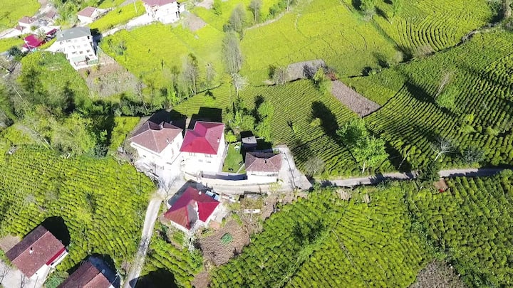Rize Ayane Dağı Manzaralı Bahçeli Lüks Köy Villası - Rize