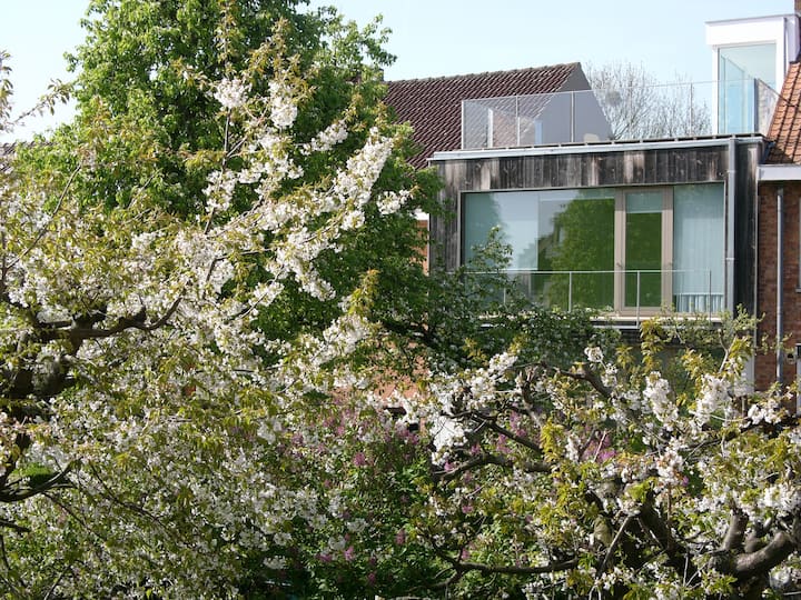 Contemporary House, Green & Arty - Woluwe-Saint-Pierre