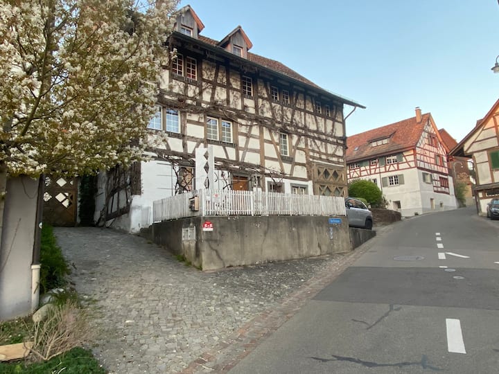 Ferienwohnung Im Historische Gebäude - Canton de Schaffhouse