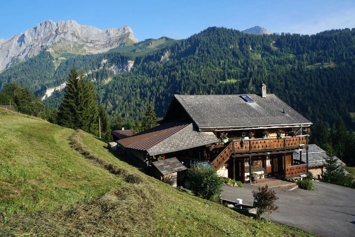 Authentic Chalet Experience With Stunning Views - Gryon