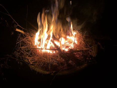 Pettigrew State Park, Creswell airbnb, hotels and vacation rentals