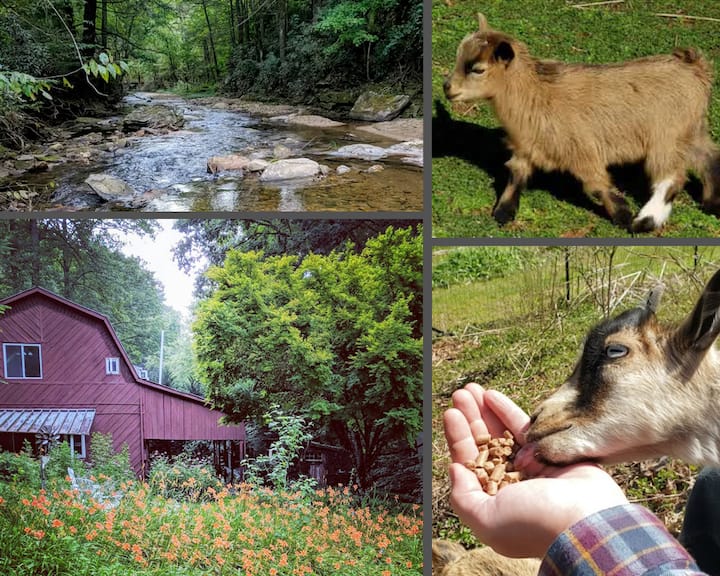 ♥️ Miniature Goats, River, Hot Tub & Barn House :) - Saluda, NC