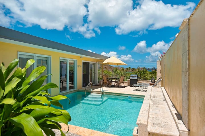 Serenity - Private Poolvilla Im Karibischen Stil: 250 Usd / Nacht Oder Weniger! - Amerikanische Jungferninseln