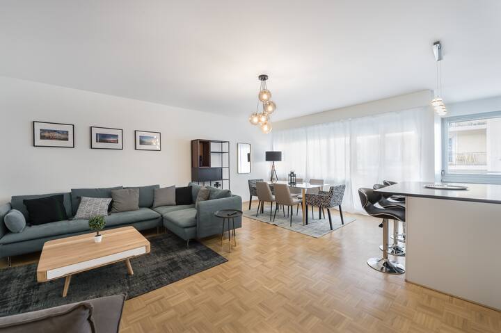 Beautiful Renovated 3 Bedroom Apartment In Champel - Geneva