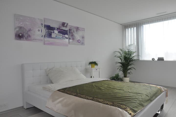 New & Modern Apartment In Zug - Zug, İsviçre