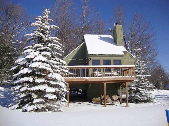 Ski Chalet Cabin Canaan Valley 35 -Dog Friendly - デイビス, WV