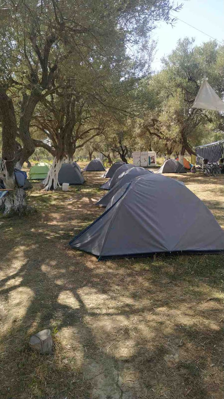 ÇIka’s Camping - Borsh