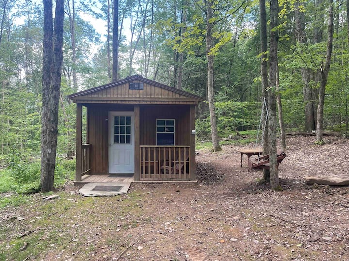 Secluded Off-grid Cabin In The Woods! - Oneonta, NY