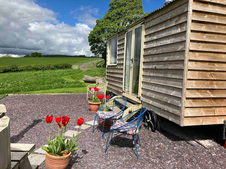 Shepherds Hut In Mid Wales With Hot Tub Sy21 8sh - Welshpool