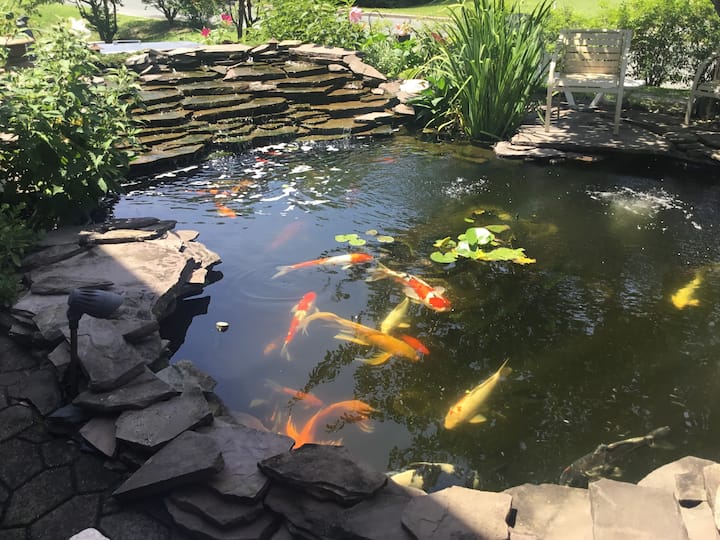 Koi Pond   Heaven With Private Room In Salisbury - Salisbury, MD