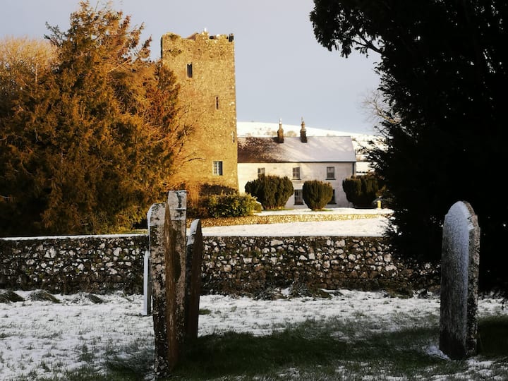 Clomantagh Castle - Louth Village