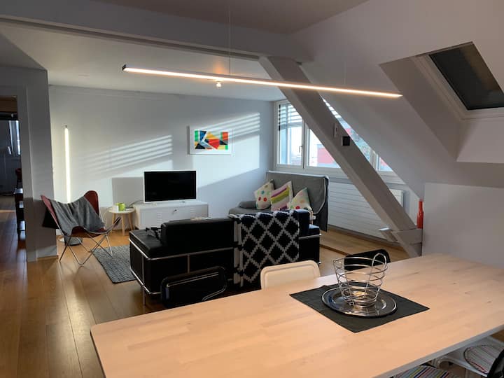 Cosy And Charming Loft On The Height Of Lausanne - 洛桑市
