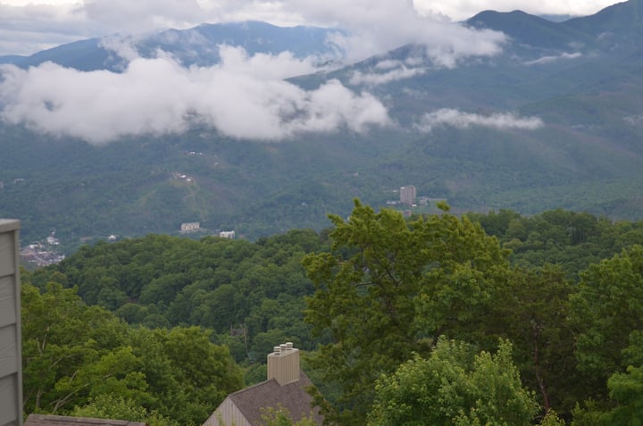 Lodgestyle Loft-summit Condo- Incredible Views - Tennessee (State)