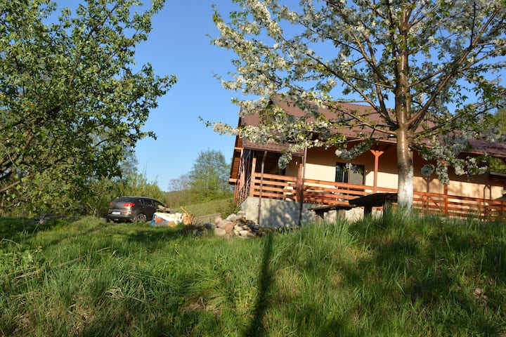 House In The Forest - Great Location And  View - Vălenii de Munte