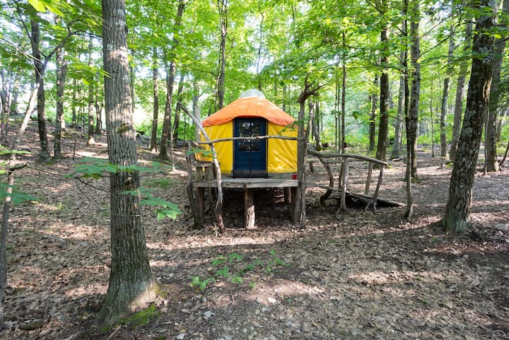 Magic Forest Farm Yurt - New York