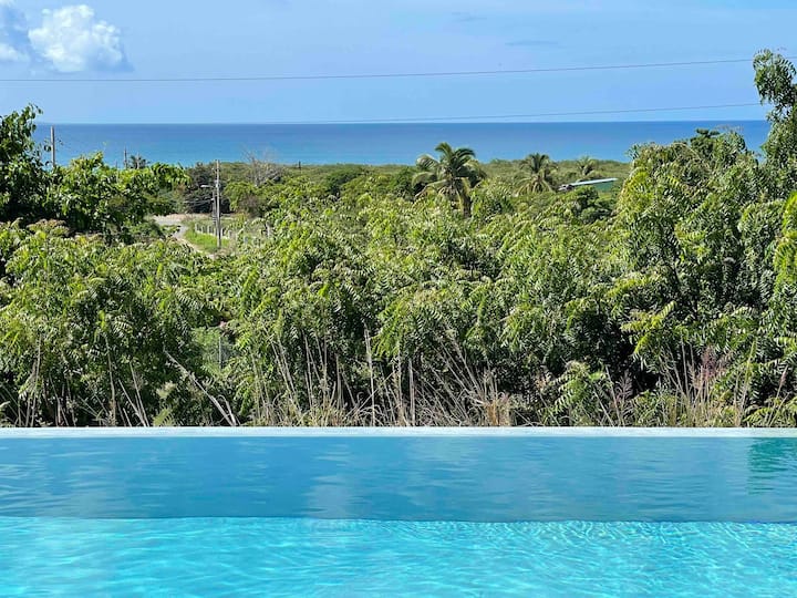 Casa Blue Vieques Island : Like Your Own Resort!!! - Vieques