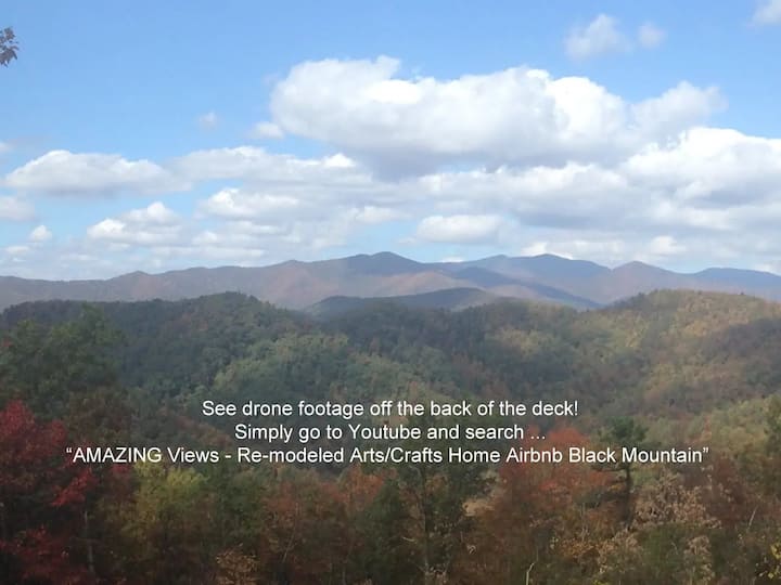 Amazing Views - Re-modeled Arts/crafts Home - Black Mountain, NC