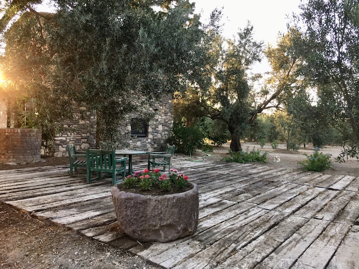Peaceful And Cosy Stone House By The Olive Trees - Çeşme