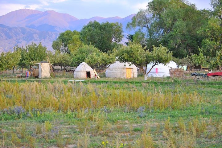 Holidayin Yurt Camp Bu Issik-kyl - Kirghizistan
