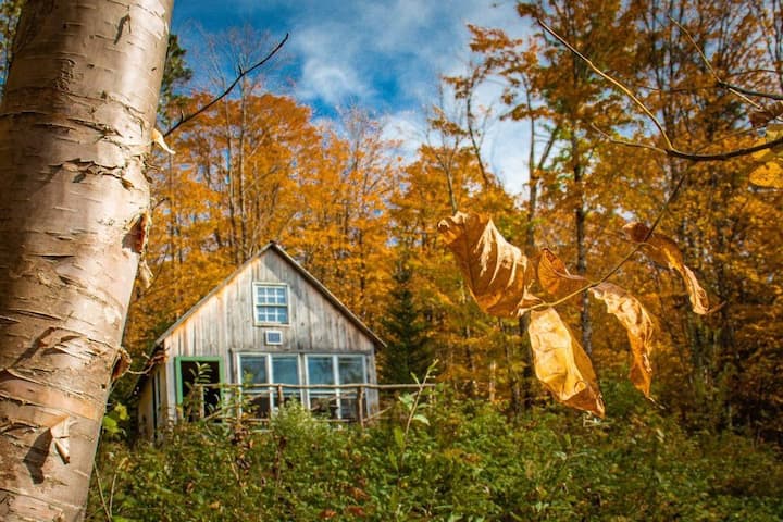 Relax And Unwind In A Secluded Cabin With A View. - Greensboro, VT