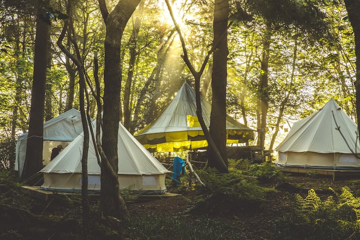 Remote Glamping For Groups | 15 Mins From Newquay - Cornouailles