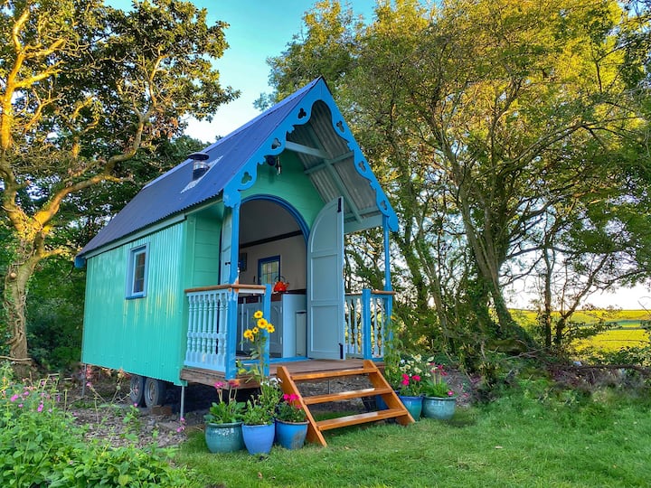 Dandelion Shepherd's Hut - Free Range Escapes - Cornwall