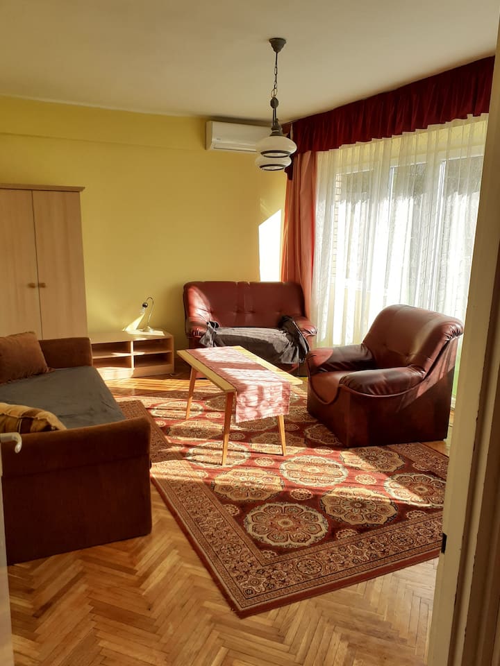 Wohnung Im Zentrum Bekescsaba In Der Andrassy Str. - Békéscsaba