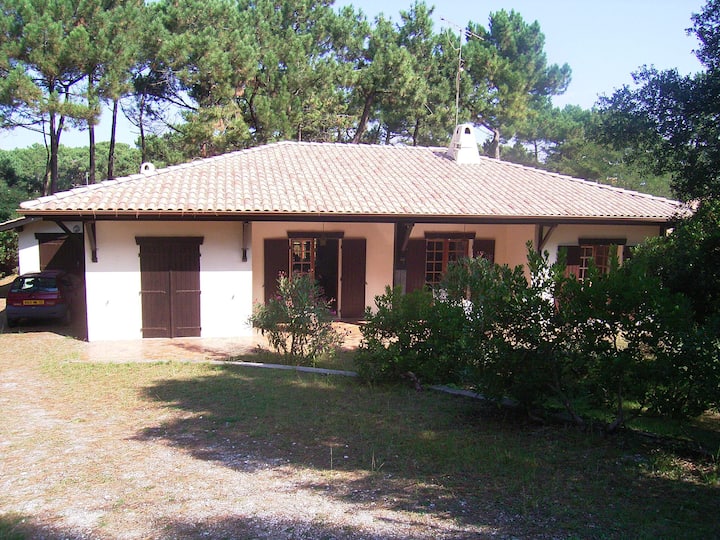 Villa Dans La Pinède, Entre Bassin Et Océan à Pied - Cap Ferret
