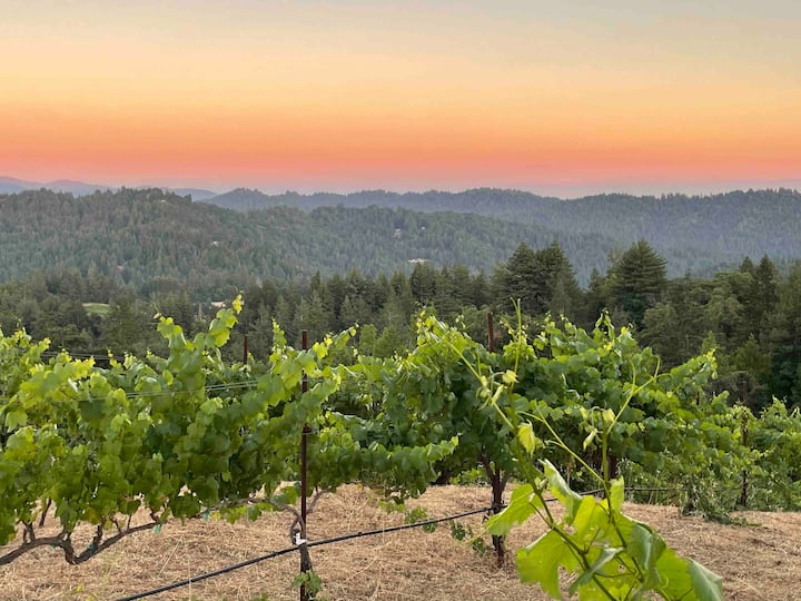 Vineyard Retreat With Expansive Mountain View - San Jose, CA