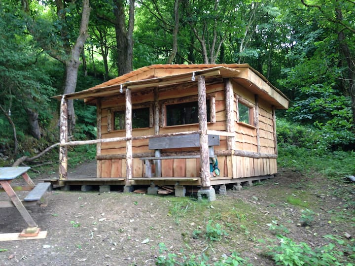 Hideaway Cabin In The Woods - Cardigan