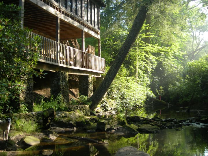Private Log Cabin On Big Creek, Dogs Welcome - Highlands, NC