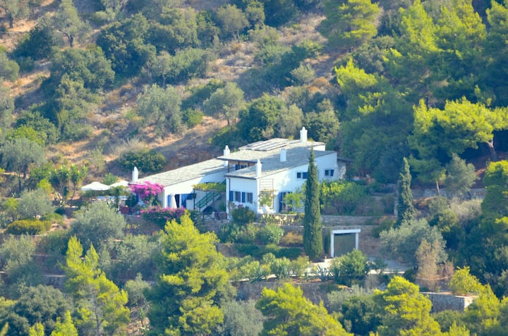 Luxury & Sustainable Villa On The Sea - 阿洛尼索斯島