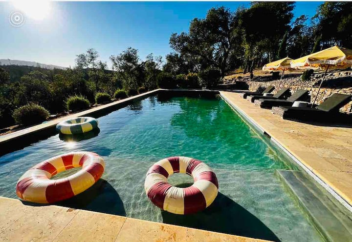 French Villa Pool/vineyard/privacy/nearby Wineries - Glen Ellen, CA