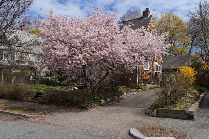 Charming House And Garden - Belmont, MA